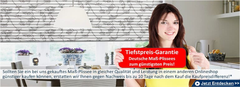 Plissee günstig auf Maß: Plissee-Experte.de mit 100% Tiefstpreisgarantie