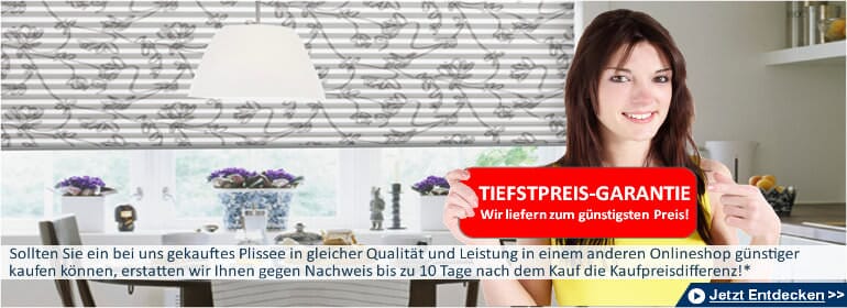 Plissee Rollo bei Plissee-Experte.de mit 0€ Versand