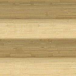 Grace-4451 