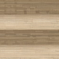 Grace-4452 
