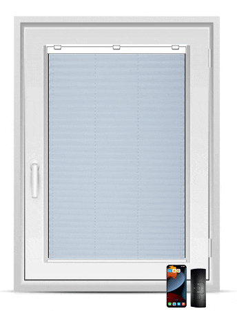 fenster